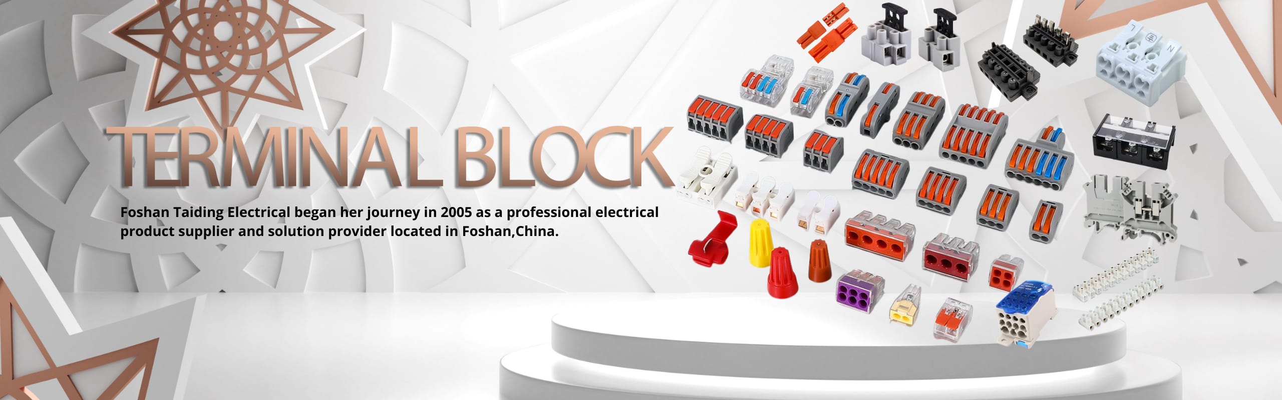 Foshan Taiding are the manufacturer of Terminal Block